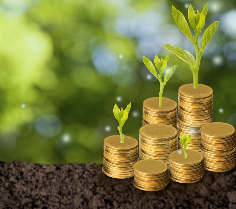 Person investing in green mutual funds in India