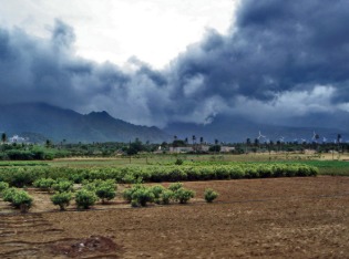 Monsoon clouds bringing rainfall over Indian agricultural fields