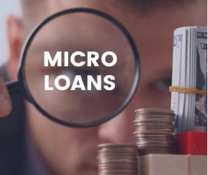 Micro loan against property for small businesses