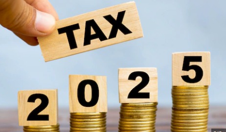 Chart showing top tax-saving investments under Section 80C and 80D in India 2025