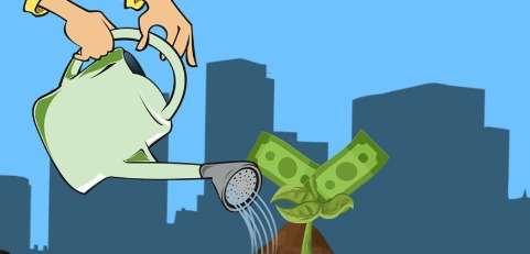 Business owner managing working capital and equipment finance for expansion.