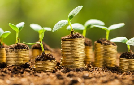 Investing in microfinance for financial returns and social impact in India