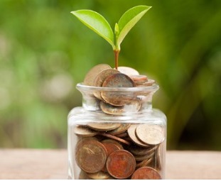 Person making micro-investments while managing a small loan on mobile app