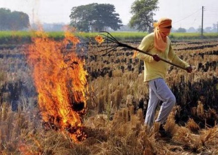 Farmer burning paddy stubble in Punjab field, contributing to air pollution