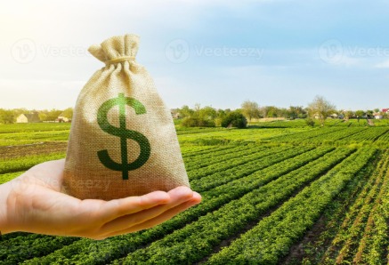 Farmer holding loan documents with a backdrop of farmland and financial calculations representing farm loan waiver