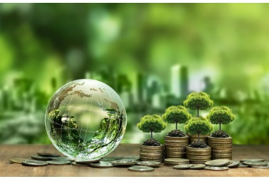 India promoting climate finance and green loans at international sustainable development forum