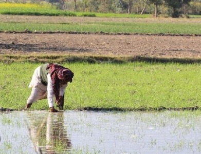 Farmer receiving PM Kisan Yojana payment on mobile