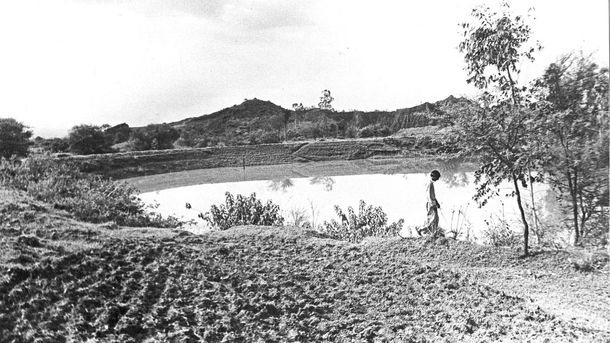 Three children drowned in a farm pond in Vijayapura district, Karnataka