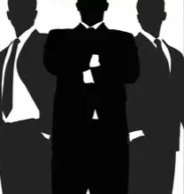 IRS officers in India balancing administrative responsibilities with political engagement and policymaking.