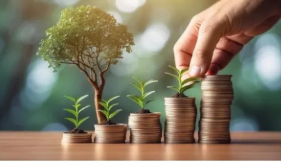 Investor analyzing mutual fund performance chart showing mid cap fund growth over 3 years