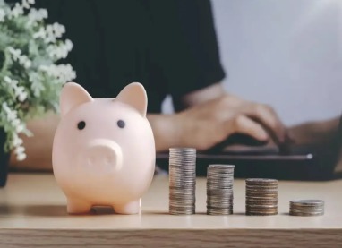 Investor analyzing mutual fund rolling returns on a laptop.
