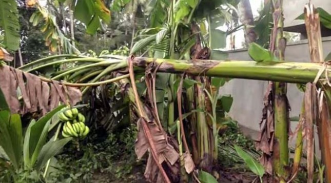 Flooded Telangana railway station and submerged paddy fields due to Cyclone Montha rains