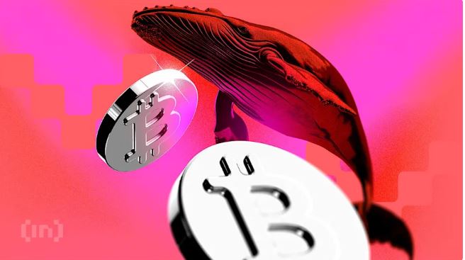 bitcoin-whales-hold-45-percent-btc-realized-cap-vizzve-finance