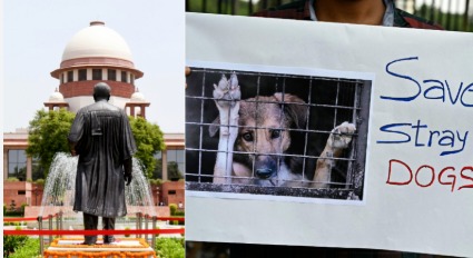Supreme Court of India building as the top court prepares to hear the stray dogs management case.