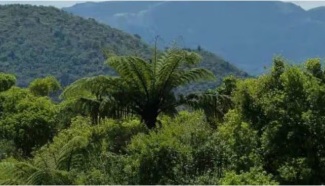 centre-panel-recommends-uniform-penalty-van-adhiniyam-1980