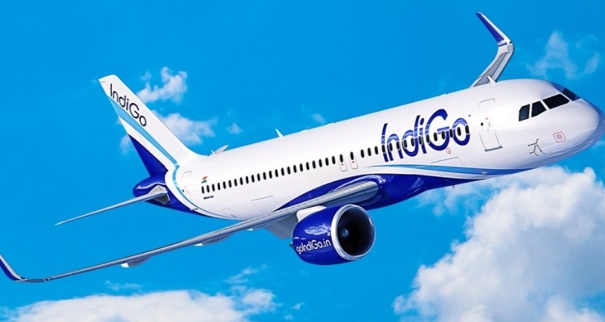 Passengers at Delhi Airport facing delays and long queues due to a technical glitch, with IndiGo issuing a flight advisory.