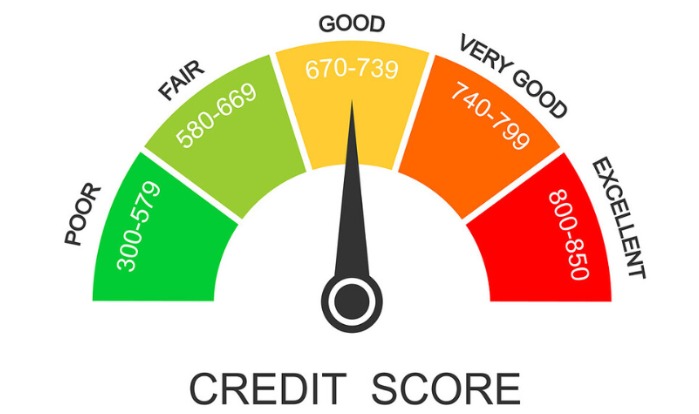 Customer improving credit score with help from Vizzve Finance app