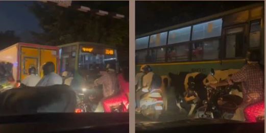 Cows stuck in Bengaluru traffic jam on busy city road