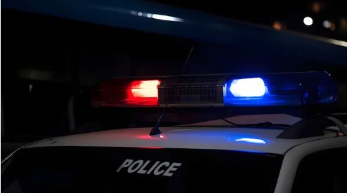 Woman walking her dog in Bengaluru during early morning before a phone snatching incident.FAQ 