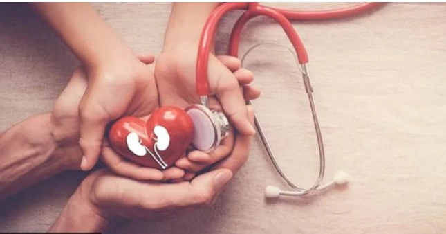 “Kidney damage detection comparison between blood tests and imaging methods”