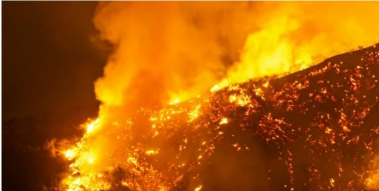 “Wildfire burning in Iran’s ancient Hyrcanian Forest, a UNESCO World Heritage site”