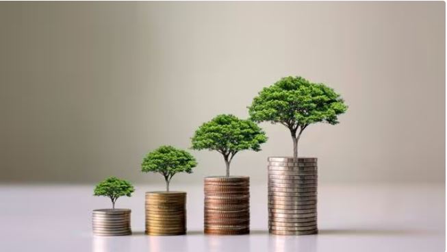 “Young Indian investor learning how to grow wealth fast using smart financial strategies in 2025.”