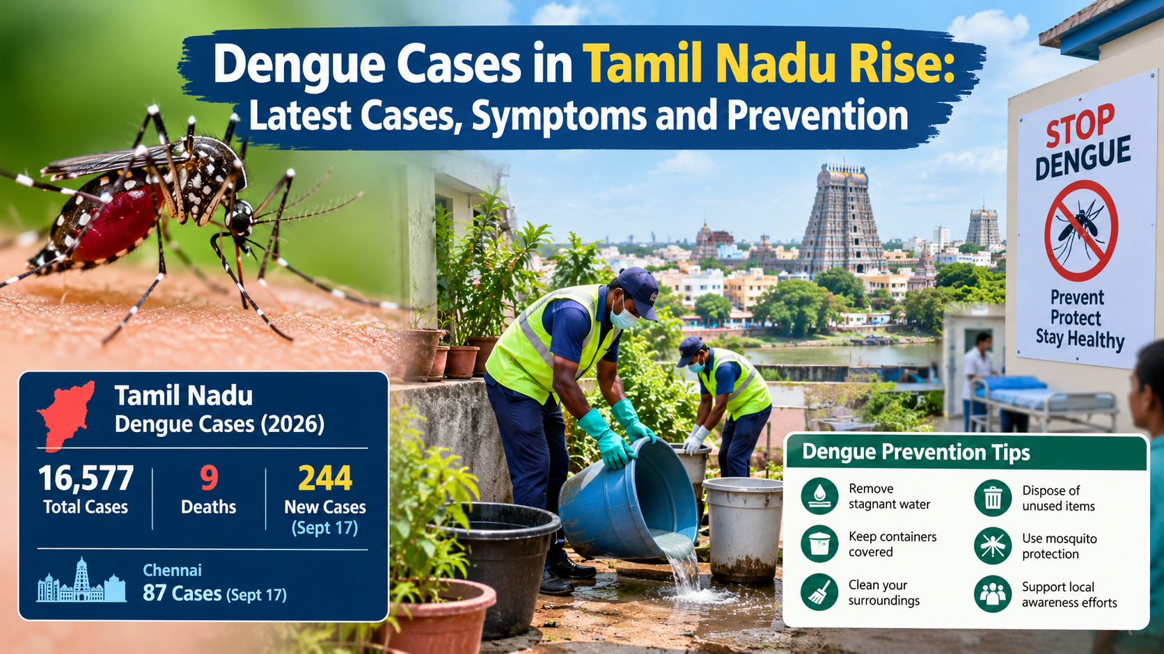 Dengue cases in Tamil Nadu rise as health officials intensify mosquito control, with an awareness graphic showing dengue symptoms, prevention tips and mosquito protection measures.